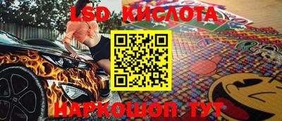 ПСИЛОЦИБИНОВЫЕ ГРИБЫ Гусев