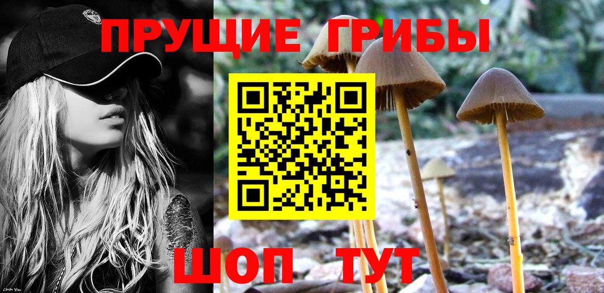 Псилоцибиновые грибы ЛСД  Галлюциногенные грибы GOLDEN TEACHER  Заволжье  Вход с VPN 