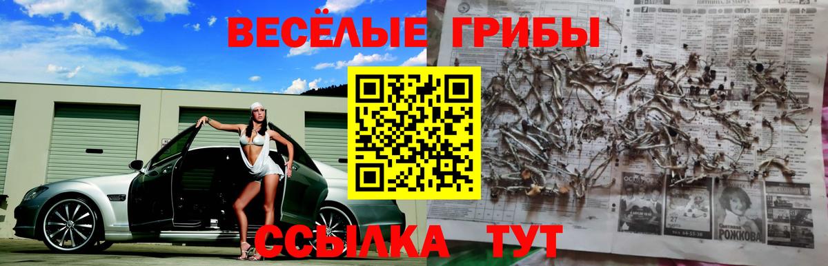 Галлюциногенные грибы MAGIC MUSHROOMS Заволжье